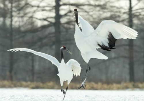 嘉兴婚外情调查取证：没有结婚婚前协议有效吗，有没有法律依据